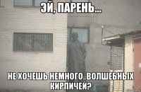  не хочешь немного..волшебных кирпичей?