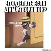 что делать если дома творожок? 