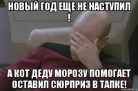 новый год еще не наступил ! а кот деду морозу помогает оставил сюрприз в тапке!