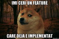 imi ceri un feature care deja e implementat