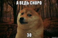 а ведь скоро 30