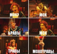 МОХ? МОХ ЬРАВЫ МОХ ТРАВЫ МОХОТРАВЫ