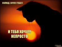 СОЛНЦЕ, ХОЧУ К ТЕБЕ!!! И ТЕБЯ ХОЧУ!!!
НЕПРОСТО