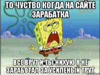 то чуство когда на сайте зарабатка все врут и ты нихую я не заработал за усиленый трут