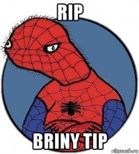 rip briny tip