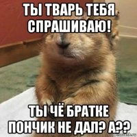 ты тварь тебя спрашиваю! ты чё братке пончик не дал? а??