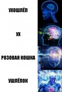 Ухошлёп Ух Розовая кошка Ушлёпок