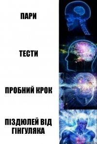 пари тести пробний крок піздюлей від гінгуляка