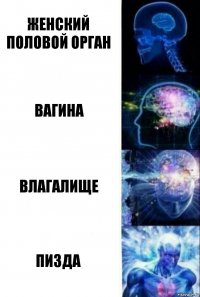 Женский половой орган Вагина Влагалище Пизда