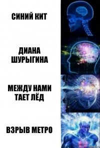 синий кит диана шурыгина между нами тает лёд взрыв метро