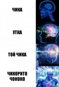 чика утка той чика чикорито чококо