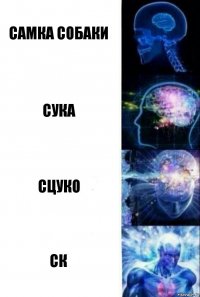 Самка собаки Сука Сцуко ск