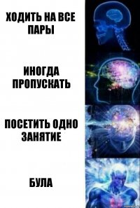 Ходить на все пары Иногда пропускать Посетить одно занятие Була