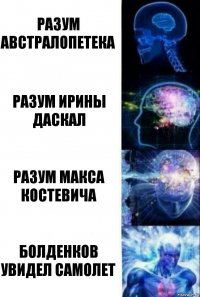 Разум Австралопетека Разум Ирины Даскал Разум Макса Костевича Болденков увидел самолет