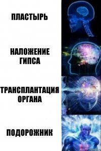 Пластырь Наложение гипса Трансплантация органа Подорожник