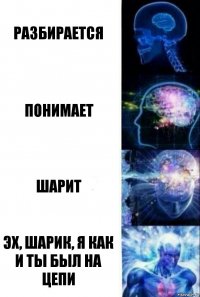 разбирается понимает шарит эх, Шарик, я как и ты был на цепи