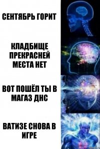 сентябрь горит кладбище прекрасней места нет вот пошёл ты в магаз днс ватизе снова в игре