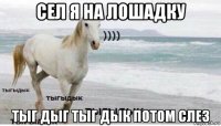 сел я на лошадку тыг дыг тыг дык потом слез