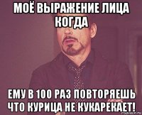 моё выражение лица когда ему в 100 раз повторяешь что курица не кукарекает!