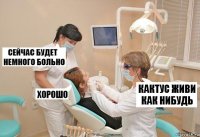 кактус живи как нибудь