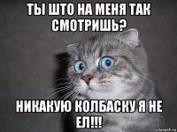 ты што на меня так смотришь? никакую колбаску я не ел!!!