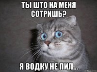 ты што на меня сотришь? я водку не пил...