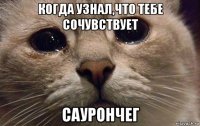 когда узнал,что тебе сочувствует саурончег