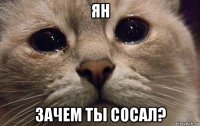 ян зачем ты сосал?