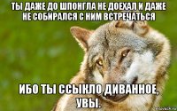 ты даже до шпонгла не доехал и даже не собирался с ним встречаться ибо ты ссыкло диванное, увы.