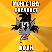 мою стену охраняет волк