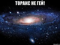 торакс не гей! 