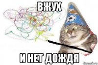 вжух и нет дождя