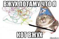 вжух потаму что я кот вжух