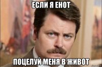 если я енот поцелуй меня в живот