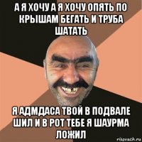 а я хочу а я хочу опять по крышам бегать и труба шатать я адмдаса твой в подвале шил и в рот тебе я шаурма ложил