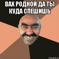 вах родной да ты куда спешишь 