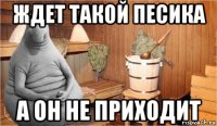 ждет такой песика а он не приходит