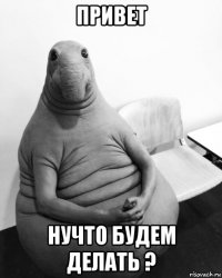 привет нучто будем делать ?