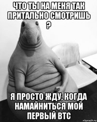 что ты на меня так притально смотришь ? я просто жду, когда намайниться мой первый btc