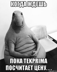 когда ждешь пока tekprima посчитает цену. . .