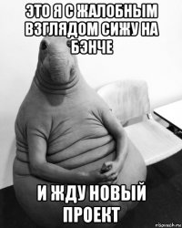 это я с жалобным взглядом сижу на бэнче и жду новый проект