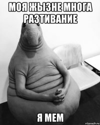 моя жызне многа разтивание я мем