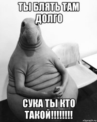 ты блять там долго сука ты кто такой!!!!!!!!