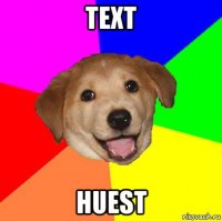 text huest