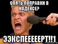 опять поправки в кодексе? ээкспееееерт!!1