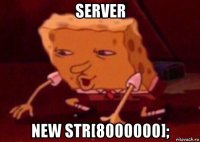 server new str[8000000];