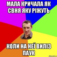 мала кричала як свня яку ріжуть коли на неї виліз паук