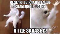 неделю выкладываешь свабедные фотки и где заказы?