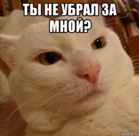 ты не убрал за мной? 