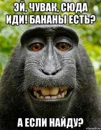 эй, чувак, сюда иди! бананы есть? а если найду?